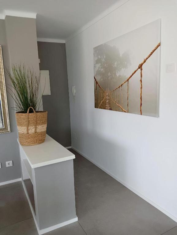 Ponent Cala Rajada Appartement *